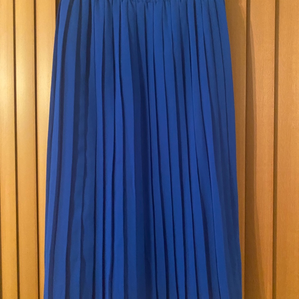 Elegant Blue Pleated Skirt
